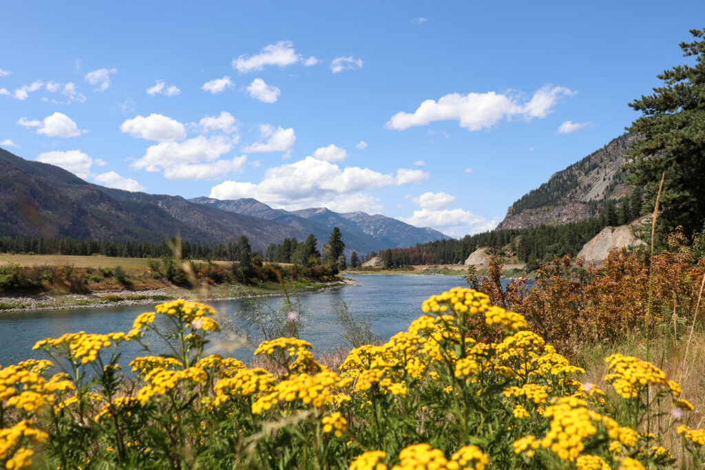 River landscape