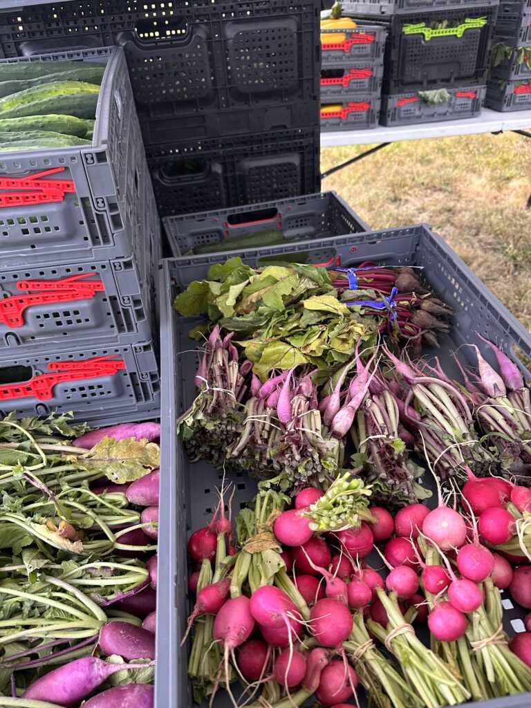 MT PECH: Expanding Food Access to Healthy, Local Food